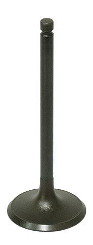 Intake Valve