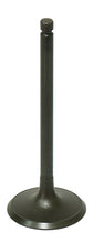 Load image into Gallery viewer, Intake Valve