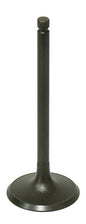 Intake Valve