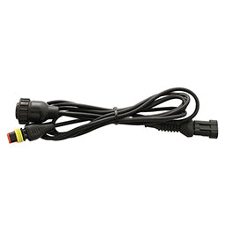 Main Cable