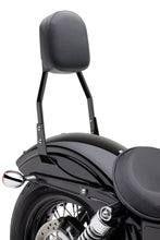 Load image into Gallery viewer, Standard Sissy Bar Black Flstf 07 17