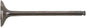 Exhaust Valve Titanium