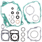 Complete Gasket Set With Oil Seals