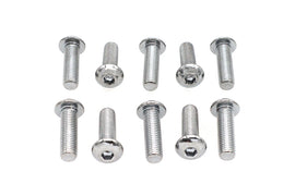 Allen Button Head Screws Chrome 5/16 inch X 1 inch