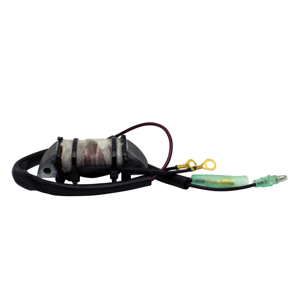 Stator Source Coil