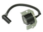 Atv Ignition Coil