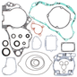 Complete Gasket Set With Oil Seals