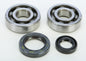 Crankshaft Bearing & Seal Kit Hon