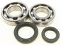 d306-58c65feeebba3.jpg