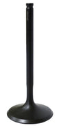Intake Valve