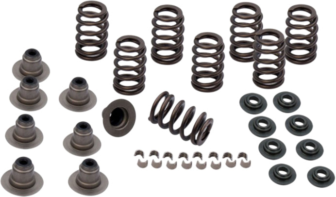 Spring Kit .600 Lift M8 Models