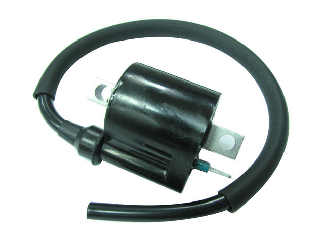 Atv Ignition Coil