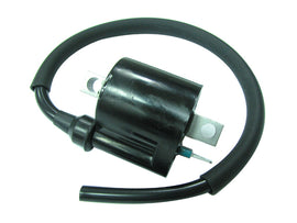 Atv Ignition Coil