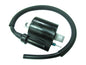 Atv Ignition Coil
