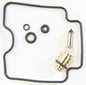 Carburetor Repair Kit