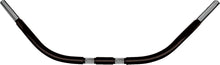 Load image into Gallery viewer, Chubby Beach Bar Springer Satin Black