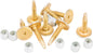 Gold Digger Carbide Studs 1.325