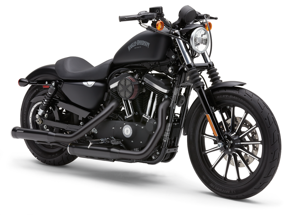 Heathshield Black Sportster 14 22