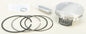 Piston Kit Armorglide 93.00/Std 11:1 Pol