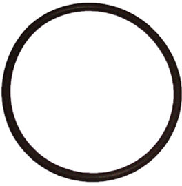 O Ring For Nozzle