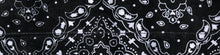 Load image into Gallery viewer, Cooldanna Paisley Black