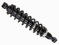 Gas Shock Rear