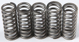 EBC Motorcycle Brakes Clutch Springs Csk214 15-17214