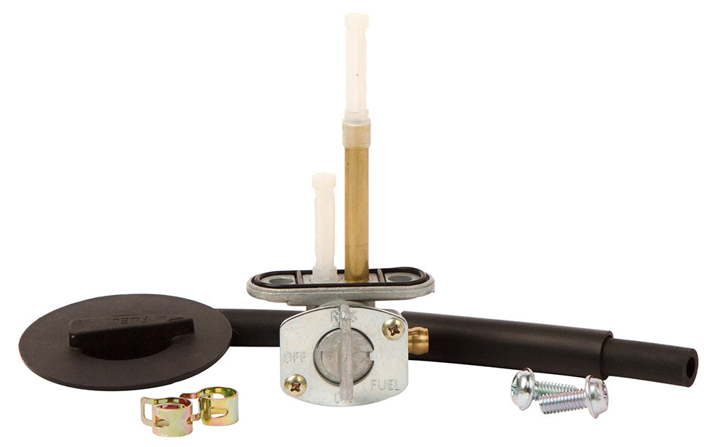 Fuel Valve