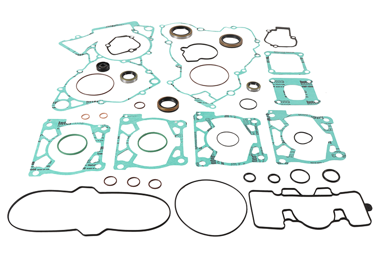Complete Gasket Set With Oil Seals