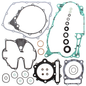 Complete Gasket Set With Oil Seals
