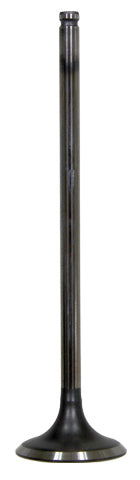 Intake Valve
