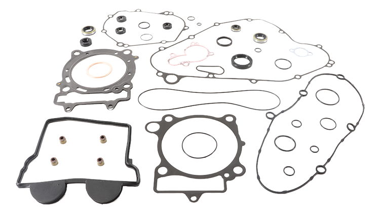 Complete Gasket Set With Oil Seals