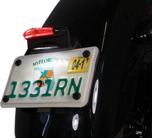 Load image into Gallery viewer, Led License Plate Light