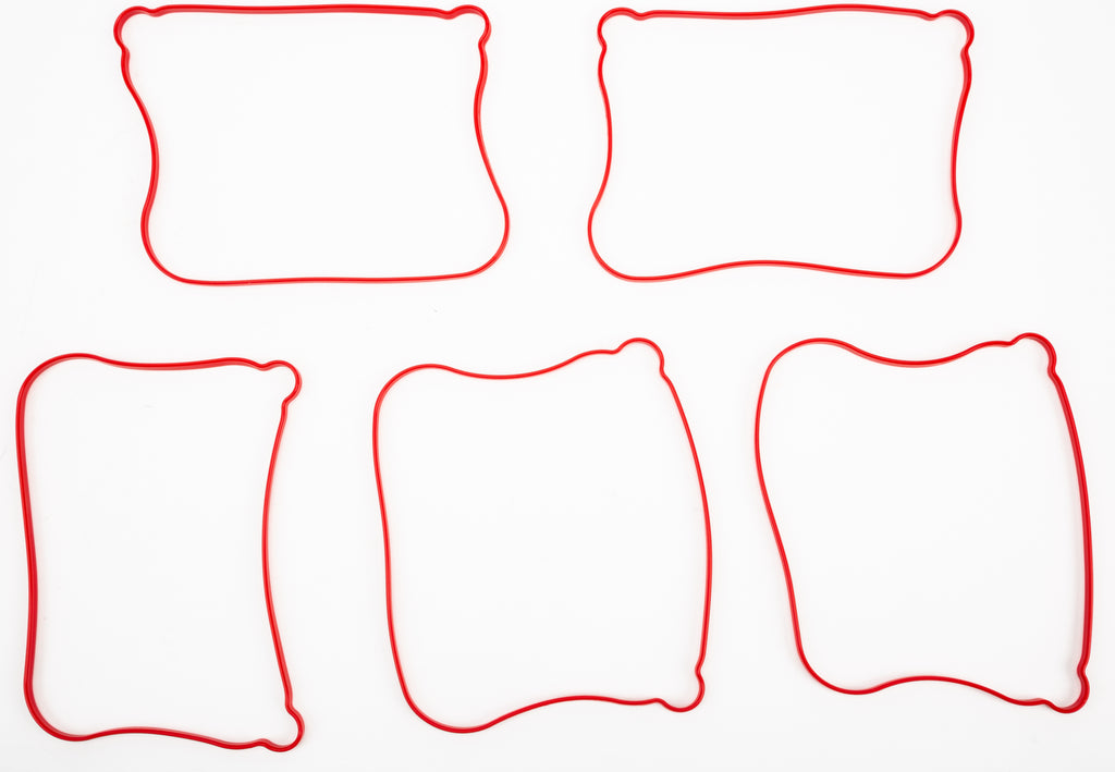 Gasket Rocker Cover Outer 5/Pk 17362 07