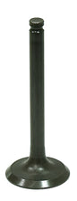 Exhaust Valve