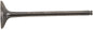 Exhaust Valve Titanium