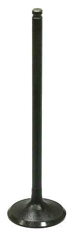 Intake Valve