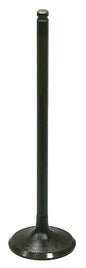 Intake Valve