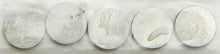 Load image into Gallery viewer, Valve Shims 8.90x2.00mm 5/Pk