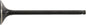 Exhaust Valve Titanium