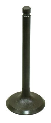 Exhaust Valve