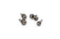 Chacho Bolt Kit Bronze Twin Cam Eng Trans Prim