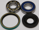All Balls Chain Case Bearing & Seal Kit 141-9017