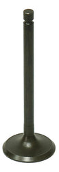 eae6-5cf173db9caf5.jpg