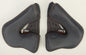 Cheek Pads 20mm 3x Stock Gm 54
