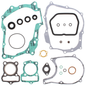Complete Gasket Set With Oil Seals