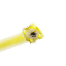 Load image into Gallery viewer, Stator Ignition Source Coil
