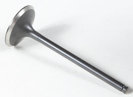 Black Diamond Intake Valve