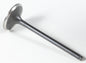 Black Diamond Intake Valve