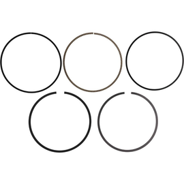 Vertex 590393000005 Piston Rings for 93.00 mm Polaris Applications
